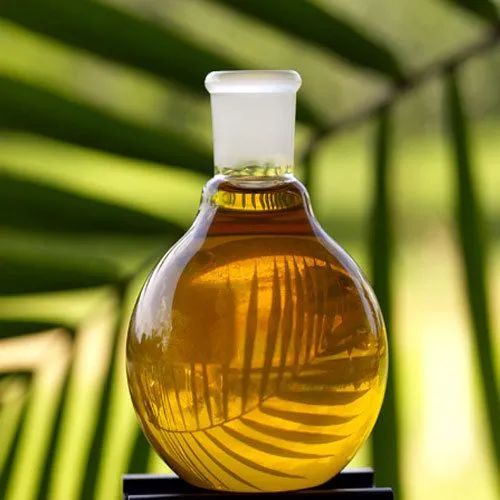 Organic Palm Oil